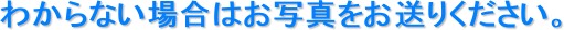 킩Ȃꍇ͂ʐ^肭B